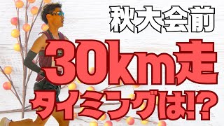 10月、11月、12月のレース前に行う30km走のタイミングについて