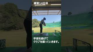 【練習14日目】スコア１８０の初心者が１２６を目指す