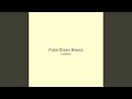 Pulse Dream Breeze