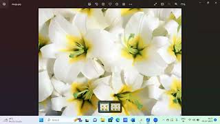 Adding Gaussian Noise using OpenCV python | Image processing Basics | #imageediting #imageprocessing