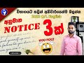 How to write a notice in english | GCE O/L English Language | Guessing Question for O/L Exam 2023