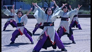 五十丸祭組 AOMORI春フェスティバル2018