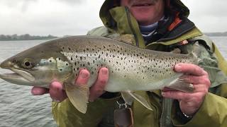 Rutland Water - Big Brown Trout and Rainbow Trout from the bank - May 2018