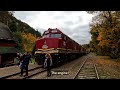 the best fall colour trip in ontario agawa canyon train tour