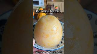 柿と牛乳だけで固まる柿プリン！【熟れた柿バージョン】#shorts #cooking #レシピ #柿 #プリン #ヘルシースイーツ #スイーツ #柿プリン