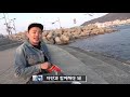 부산여행 ep.7 부산 상남자의 송도해수욕장 나들이 │거북섬의 갈매기를 조련하는 흑마법사 빵규