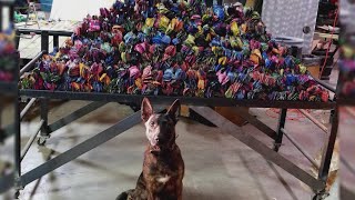Name released in largest Wichita County drug bust