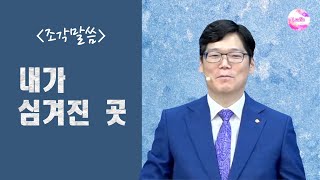 [조각말씀] 내가 심겨진 곳