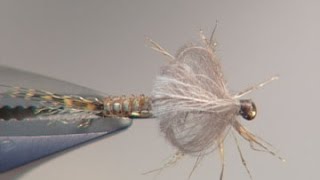 Legged Emerger fly tying video by Shane Stalcup