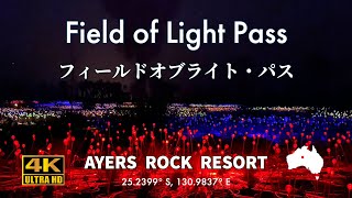 (4K)2023フィールドオブライト・パス/Field of Light Pass　#ayersrock #uluru