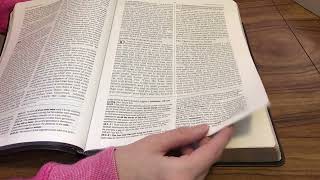 12 Bibles of Christmas #11- Jeremiah Study Bible