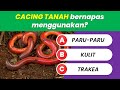 Kuis Ilmu Pengetahuan Alam (IPA) Part 2, Coba Jawab Kalau Kamu Bisa!