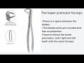 tooth extraction forceps armamentarium types of forceps and technique of usage. exodontia