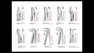 tooth extraction forceps, armamentarium, types of forceps and technique of usage. Exodontia