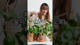 삭소롬 집에서 예쁘고 튼튼하게 잘 키우기