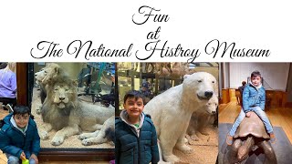 Must visit place- The National History Museum at Tring