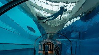 'A kindergarten for divers': World's deepest swimming pool opens its doors in Poland