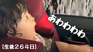 【生後264日】初めて自動洗車機を体験したルーキーの反応はいかに…🚙🤭💕