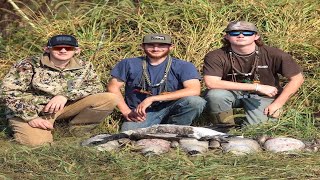 GOOSE HUNTING Early Season PA | Another BAND!