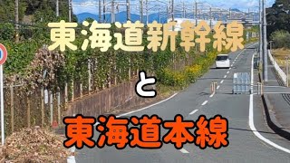 絶好の撮影スポットで東海道新幹線と東海道本線を撮影したのでご紹介します