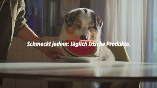 Denner Dogs: Melone