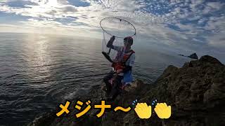 西伊豆　田子カツオ島　にてフカセ釣り