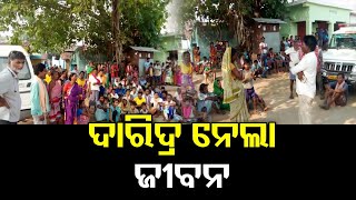 ଦାରିଦ୍ର ନେଲା ଜୀବନ  | Odisha Reporter