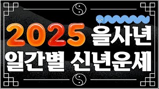 25년 을사년 일간별 신년운세 모음