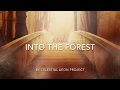 Celtic Gate music - Into the Forest