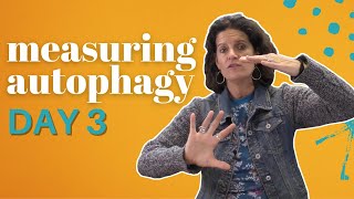 How Do You  Measure Autophagy