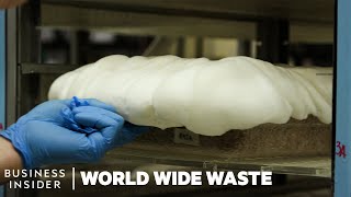 How Mushrooms Are Turned Into Bacon And Styrofoam | World Wide Waste
