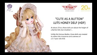 Beginners Guide to Pre-Order LUTS Honey Delf (HDF) Ball-Jointed Doll (BJD)