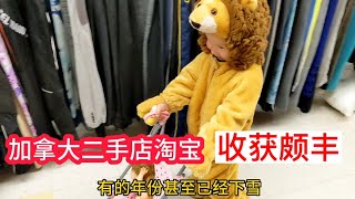 加拿大二手店淘宝，花了150刀收获颇丰，给二呆买了万圣节服装