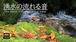 4K video + natural sounds / ASMR December's Enbara River: the sound of spring water flowing