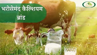 Lactomix Ad3 Gold - लैक्टोमीक्स एडी3 गोल्ड - Animal Feed Supplement