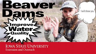 Beaver Dams & Enhanced Wildlife Habitat? (Let's follow an ecologist)