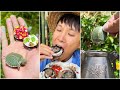 Diamond ring for a cow's ear |Chinese Mountain Forest Life And Food #MoTiktok #Fyp