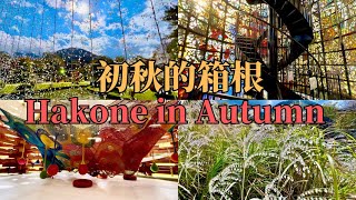 Hakone Travel｜初秋的箱根之旅｜箱根红叶，雕刻之森美术馆，玻璃之森美术馆，仙石原，大涌谷，箱根神社｜箱根旅行｜箱根一日游