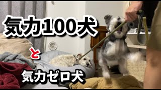 我が家の毎晩のこと。