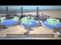 lng natural gas industry tutorial