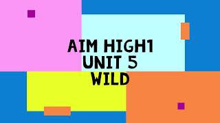 Aim High1 Unit 5