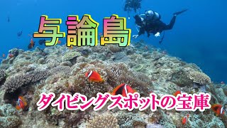 【与論島ダイビングスポット】素晴らしい海中旅行！　#与論島　#ダイビング　#海中宮殿　#沈潜あまみ　#長崎の塔とキャニオン　#マンタ　#大型回遊魚