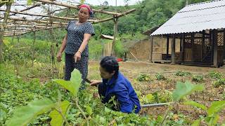 Hang's mother was afraid Thao would dig up all her sweet potatoes.
