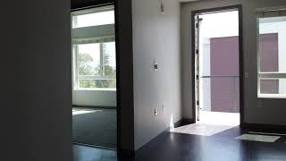 The Lex Apartments - San Jose - The Lex 553 K 1x1