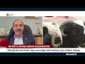 100 bin tl maaşa Çalışacak Çoban bulunmuyor ntv