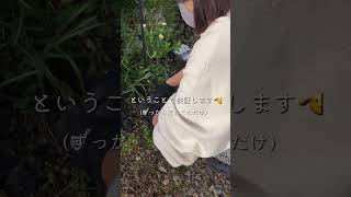 12月に球根植えても咲くのか？検証します！#shorts #ガーデニング #gardening