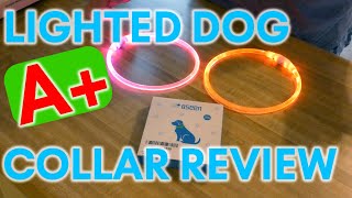 The BEST Light Up Dog Collar Review!