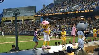 20230610 #小翔 #艾比 #親子象 #阪神 #甲子園 #阪神甲子園球場日 #shorts