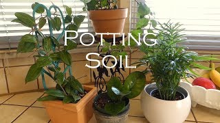 Houseplants: Potting Soil, Repotting Rare Hoya + a Few Care Tips