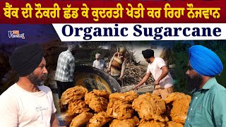 Bank ਦੀ ਨੌਕਰੀ ਛੱਡ ਸ਼ੁਰੂ ਕੀਤੀ ਕੁਦਰਤੀ ਖੇਤੀ | Organic Sugarcane | ਸ਼ੁੱਧ ਦੇਸੀ ਗੁੜ | KHETAAN DE PUTT |